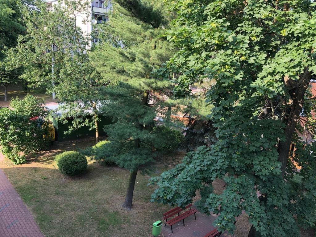 Chrobrego 269 Apartment เบียวา พอดลาสกา ภายนอก รูปภาพ